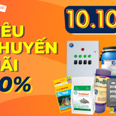 10.10 Siêu khuyến mãi 50% cho thuốc hóa chất, dinh dưỡng và vật tư thủy sản